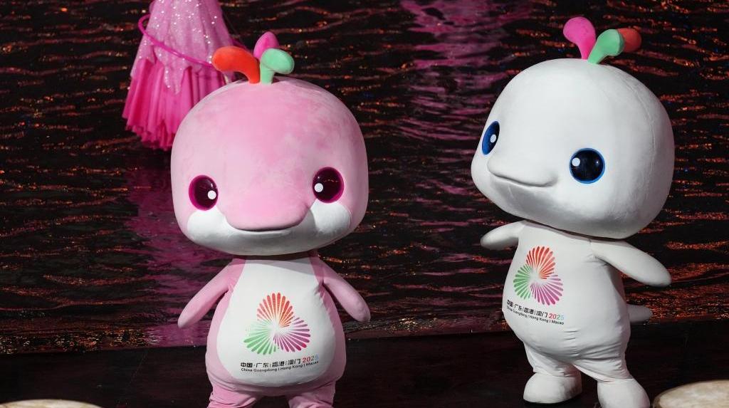 全运会丨感谢网友“指豚为鸡”——专访“大湾鸡”之父刘平云