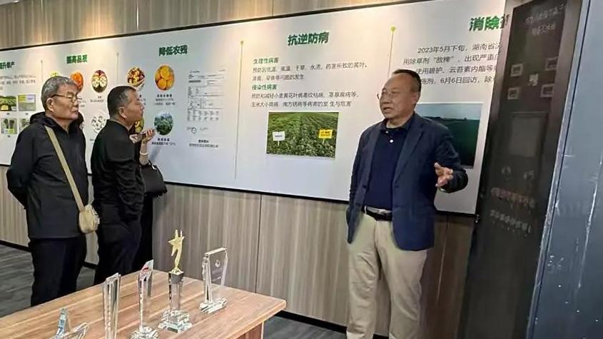 “荔深”携手破局 冬枣产业跨区域协作迈入实质阶段