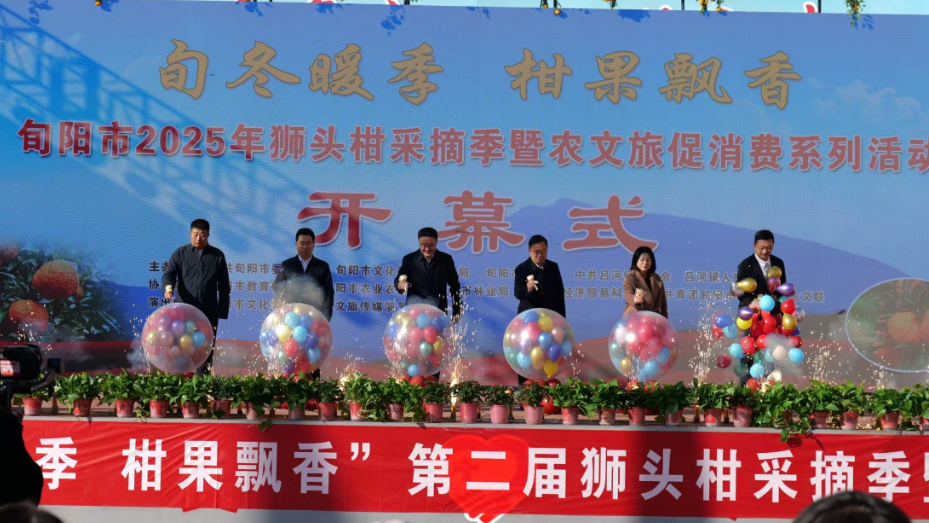 旬阳市2025年狮头柑采摘季农文旅系列活动正式启动