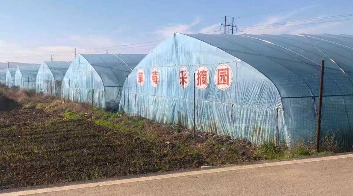 临潼区行者街道：基础设施换新颜 产业振兴促增收