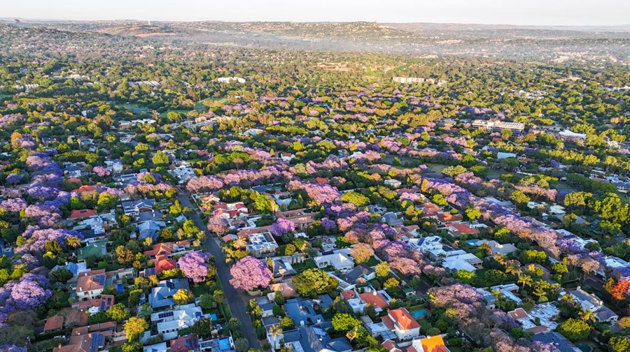 热点追踪｜第二十次G20峰会