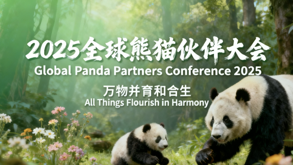 2025全球熊猫伙伴大会｜万物并育和合生