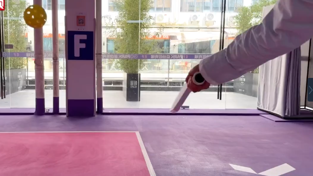 【粤港澳全运会】小小匹克球，如何“玩转”粤港澳大湾区？