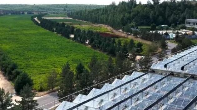 “空天地人”织网，“山水林田”复绿：“天地方案”激活生态修复生命力