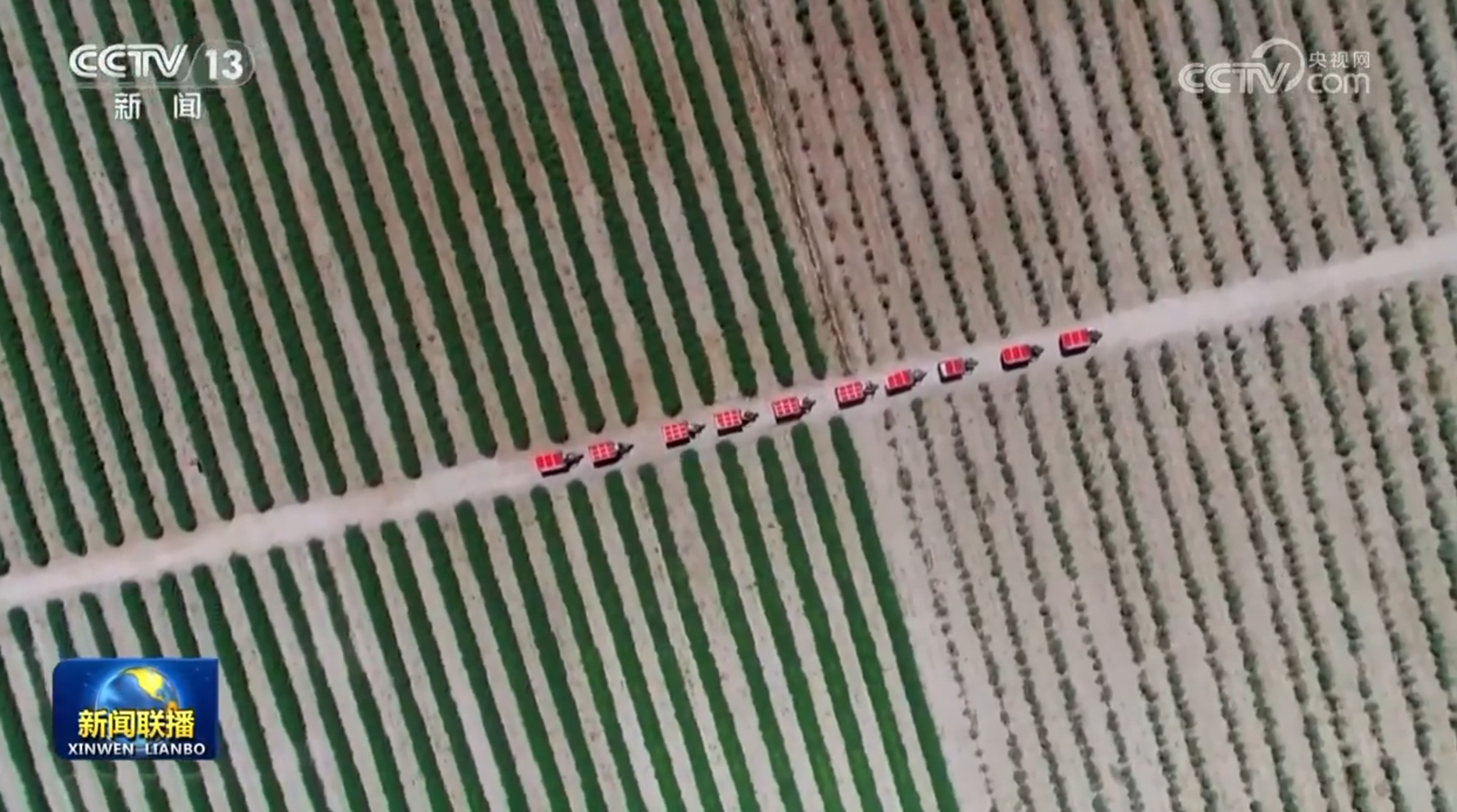 【新思想引領(lǐng)新征程·非凡“十四五”】鞏固拓展脫貧攻堅成果 加快推進(jìn)鄉(xiāng)村全面振興