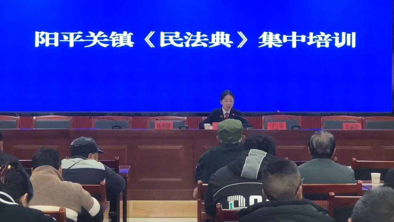 送法进乡村 民法典宣讲“声”入人心