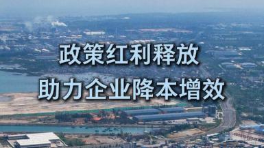 海岛新程｜政策红利释放 助力企业降本增效