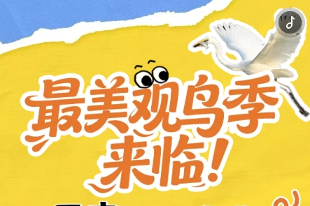 H5丨最美觀(guān)鳥(niǎo)季來(lái)臨！西安四大免費(fèi)寶藏地等你來(lái)打卡