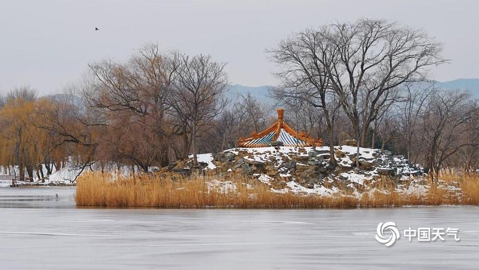 別錯過！圓明園限定冬景：蘆葦覆雪 遠映西山