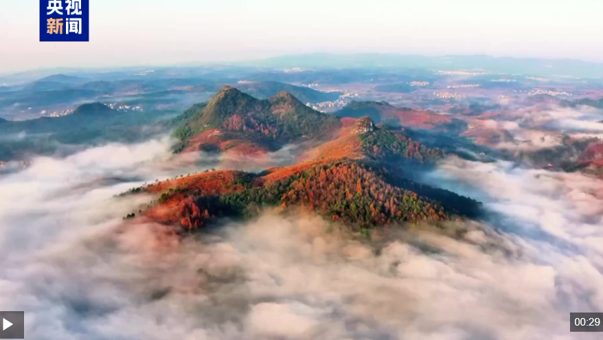 宛如仙境！斑斕山林間的云海超驚艷