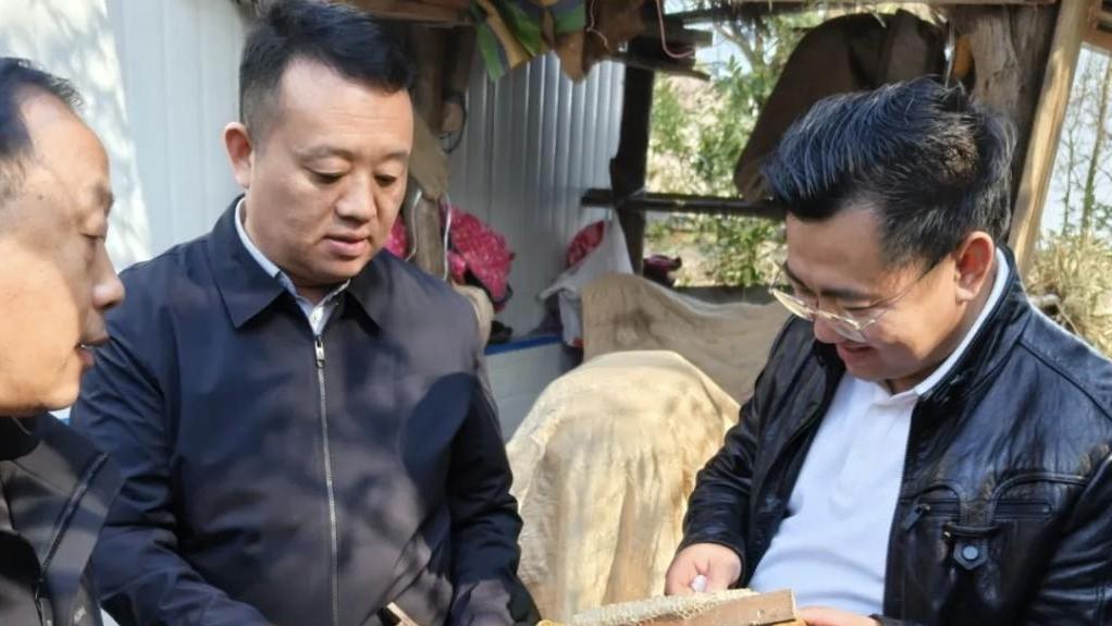 省特檢院跨村聯(lián)動(dòng) 聚力推進(jìn)鄉(xiāng)村產(chǎn)業(yè)振興