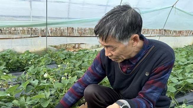 佛坪：“綠卡”賦能農產品“闖市場”