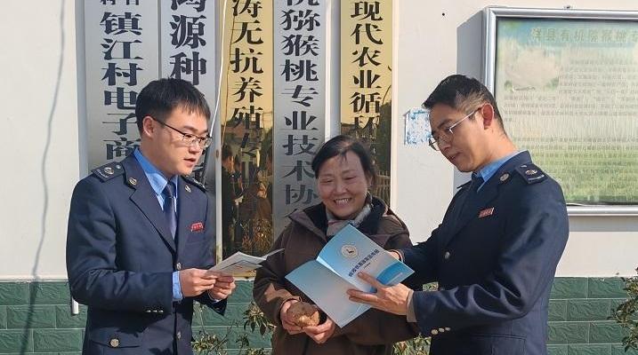 洋縣：合規經營點亮致富“薯”光