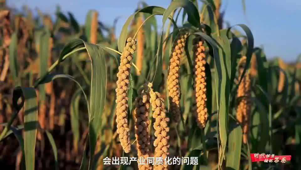 凝聚人大力量 彰顯責(zé)任擔(dān)當(dāng) 榆林人大聚焦民生 精中發(fā)力系列報(bào)道之一丨“一號(hào)議案”破局 黃土高坡生金