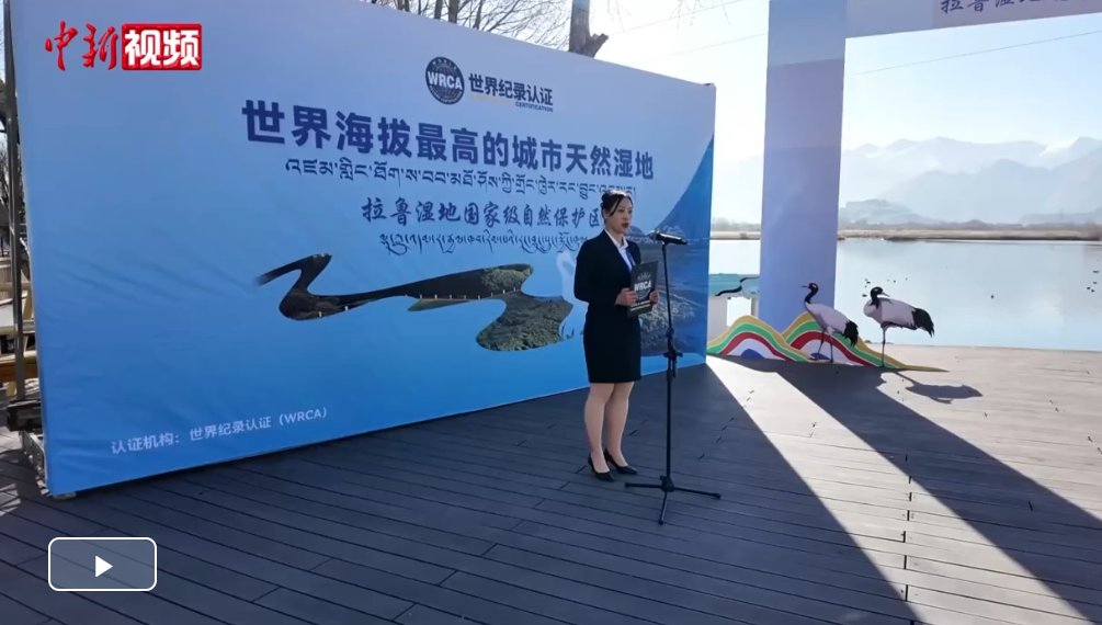 西藏拉魯濕地獲“世界海拔最高的城市天然濕地”稱號
