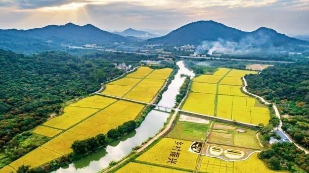 “百千万工程”：向着“五年显著变化、十年根本改变”进军