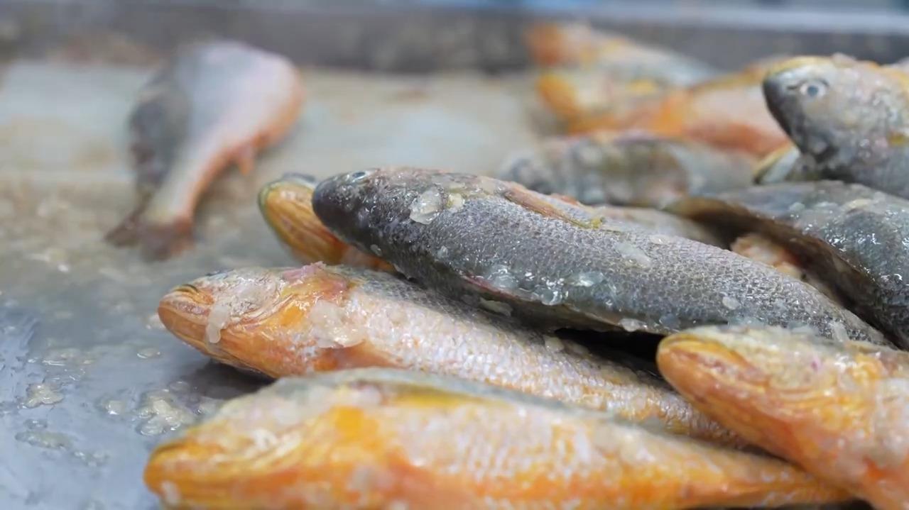 视频丨灯彩映福+舌尖寻味+冬游升温 共赏喜迎元旦幸福图景