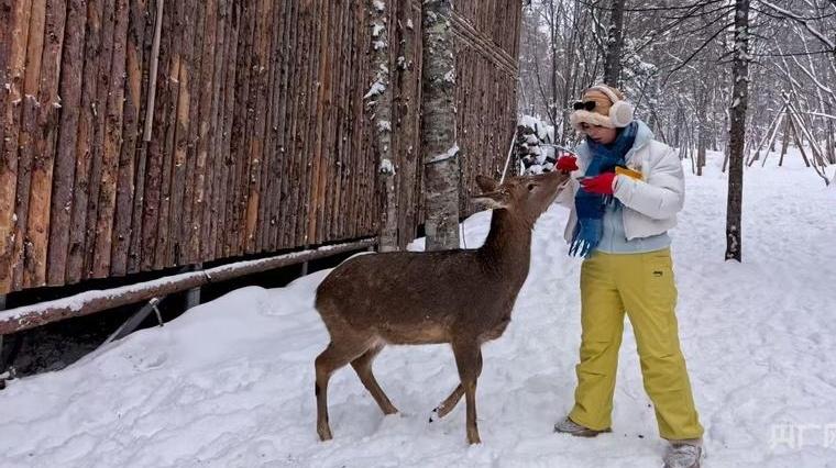 冰雪微笑曲线｜“冰雪+”点亮消费新图景 “冷资源”持续撬动“热经济”