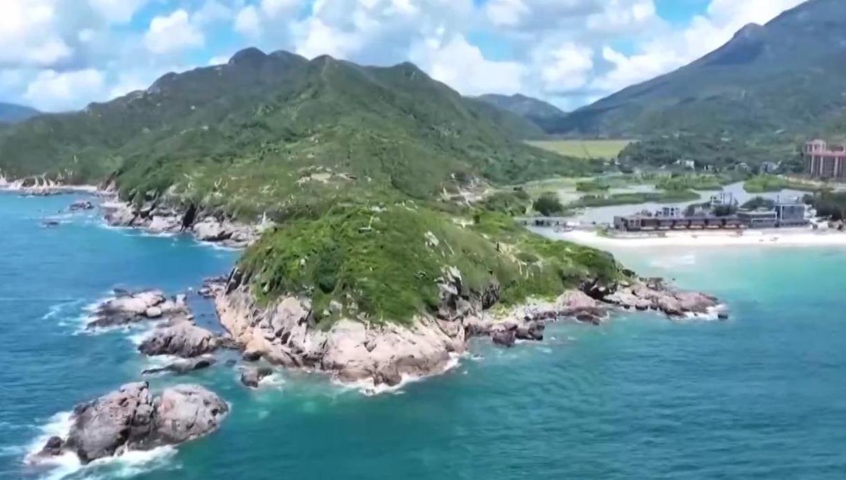 视频丨人海和谐 美丽海湾建设超额完成“十四五”目标