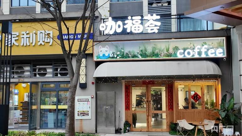 “小账本”里的“大民生”｜返乡青年创业梦 激活县域“咖啡经济”