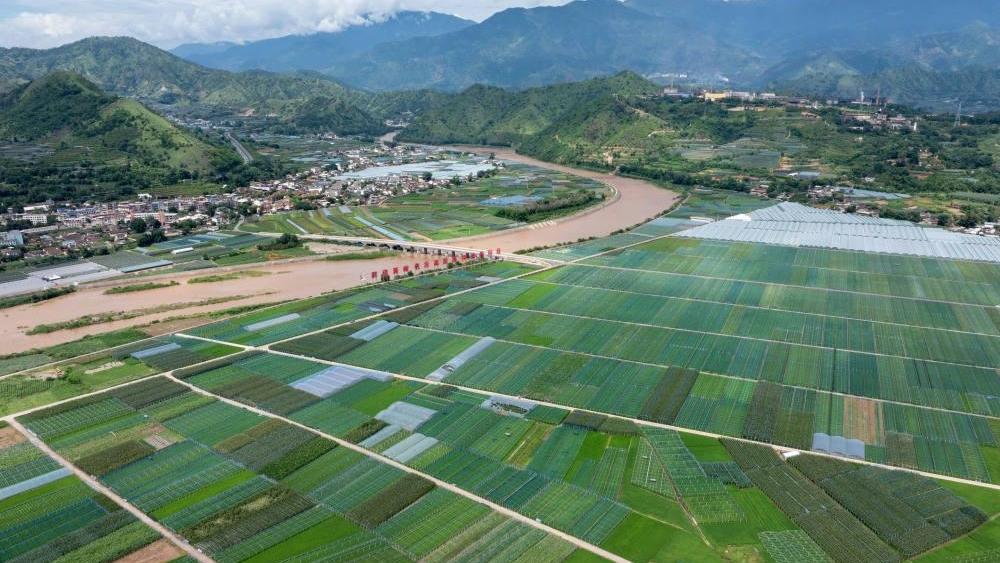 2025“三农”成绩单｜精耕良田提质效 厚植沃野育新机