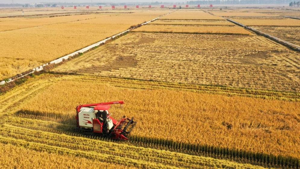 数览中国脉动｜科技赋能！“汗水农业”向“智慧农业”加速迈进