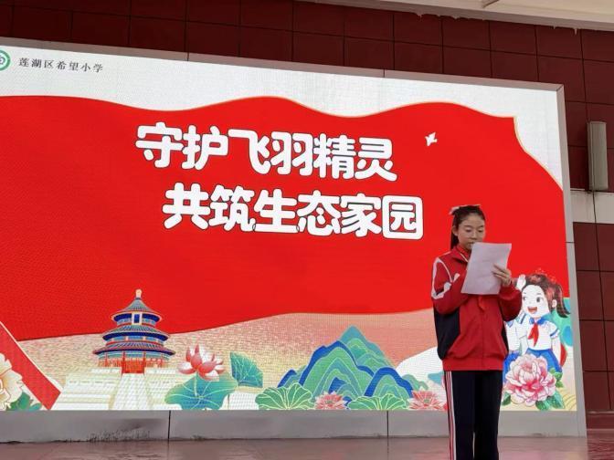 莲湖校园变身“小鸟乐园” 师生携手守护“飞羽精灵”