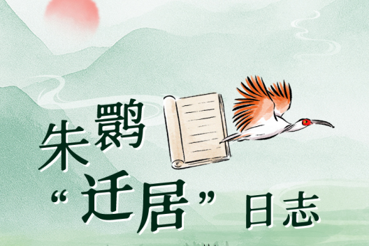 創(chuàng)意互動 | 朱鹮“遷居”日志