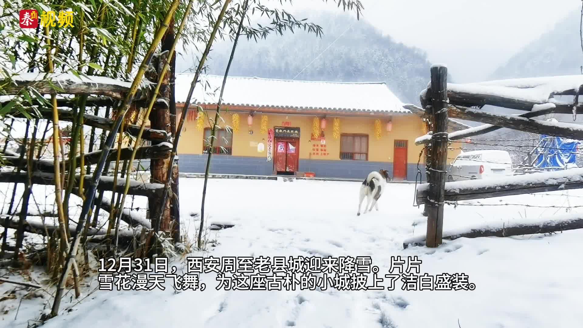 雪落老縣城 詩意滿周至