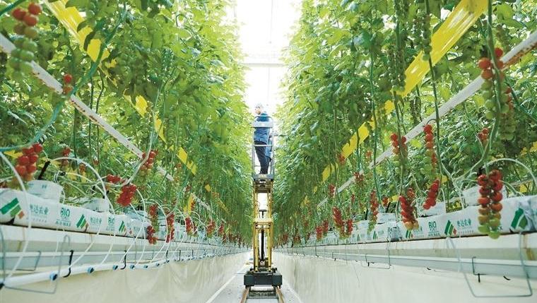 走进杨凌秦农智慧农业科技产业园——看一座“科技工厂”为丰收“编程”