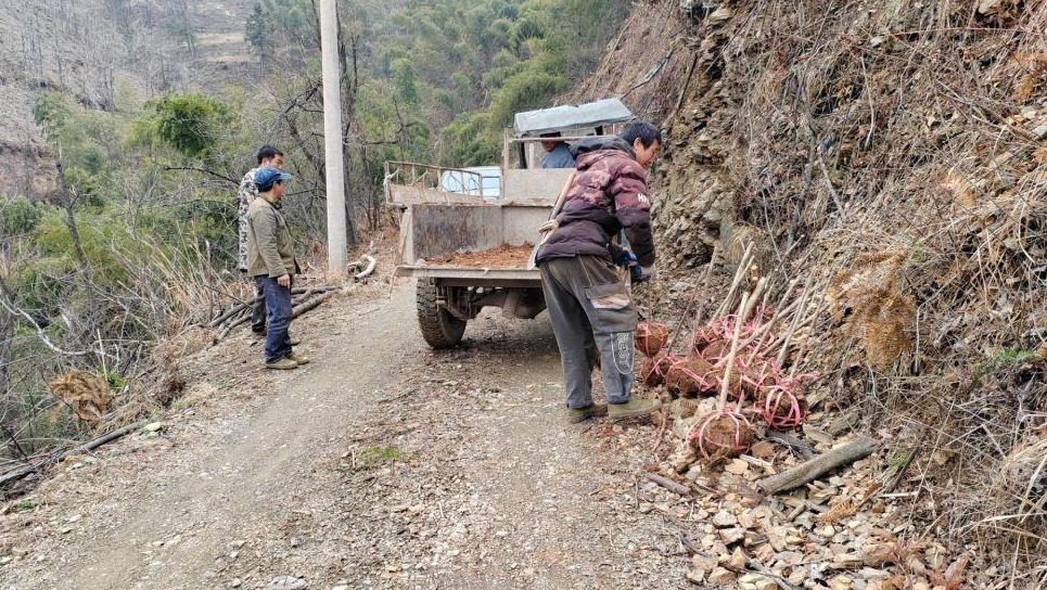 四中全會精神在基層｜森林里的“一張票”——湖南“湘林碳票”探索見聞