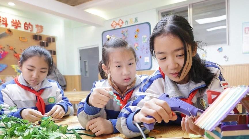 守护飞羽精灵，共筑生态家园——莲湖区教育系统爱鸟护鸟教育纪实