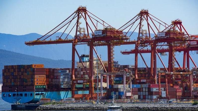 能源加农业双受益！加拿大资深研究员：务实合作有助中加关系企稳回升