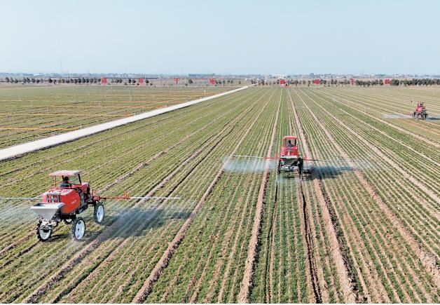 陜西搭建耕地永久基本農田和高標準農田一體化管理平臺