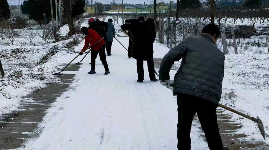 以雪為令齊出動 清雪保暢護平安