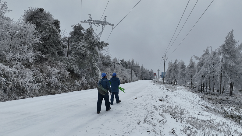 國網漢中市南鄭區供電公司：風雪襲黎坪 復電暖民心