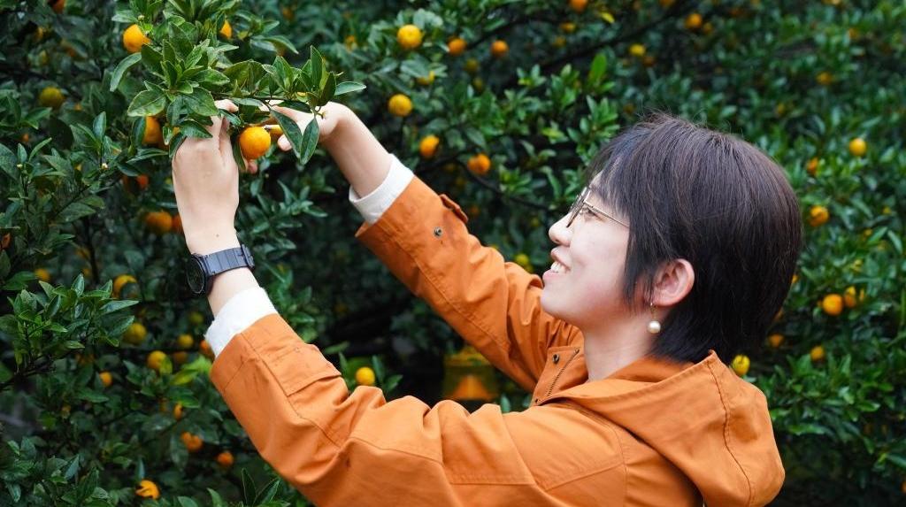 五連增！地理標志“金名片”培育近萬億元“大產業”