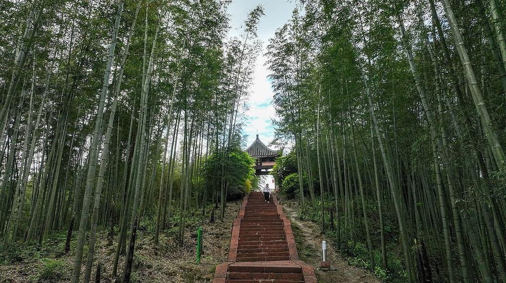 這五年丨山鄉巨變，譜寫中國式現代化貴州實踐新篇章