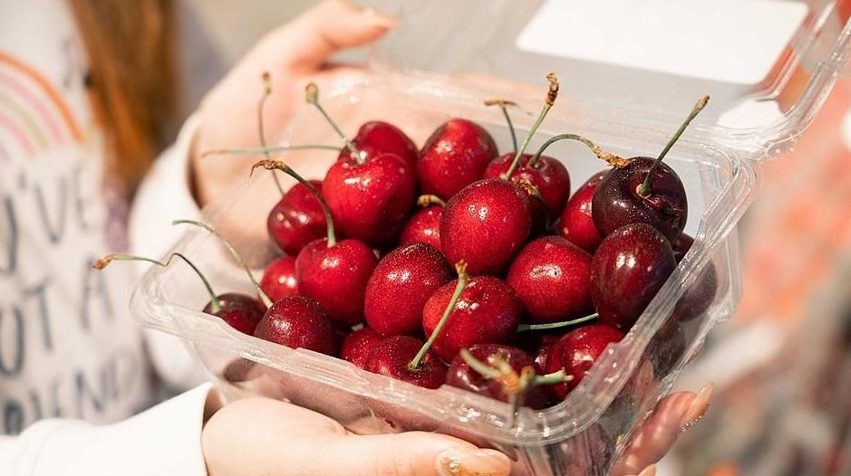 視頻丨從智利果園到中國果盤 詳細揭秘車厘子如何“超長保鮮”