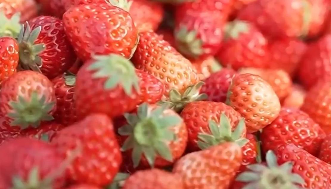 逛市集、賞非遺、買年貨 來傳統大集感受年味 在文化與煙火氣中喜迎佳節