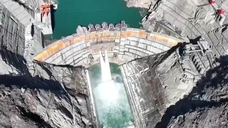 焦點訪談｜“刷臉”穿隧洞、坐電梯過大壩……金沙江的魚兒回家之路為何能暢快通行？