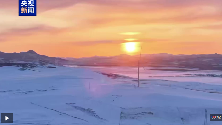 駿馬奔騰，鬃毛翻飛 來看冬日草原獨有的磅礴