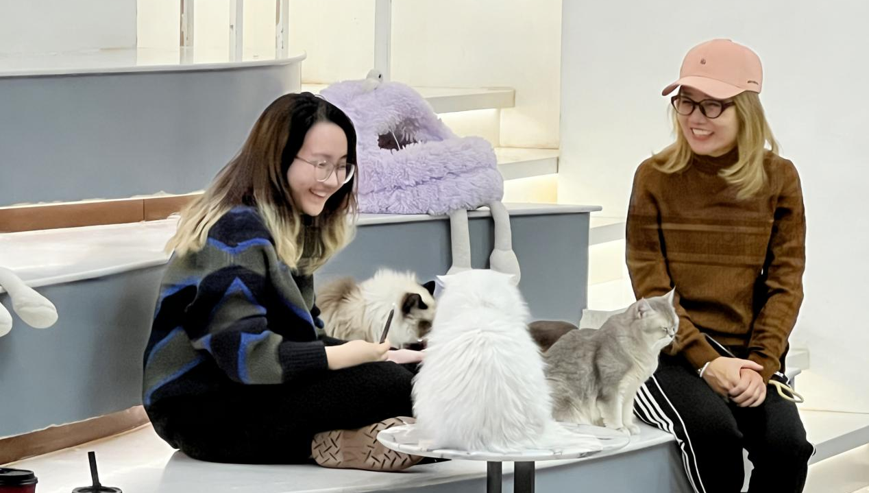 新華網財經觀察丨“愛你老己”背后的消費密碼