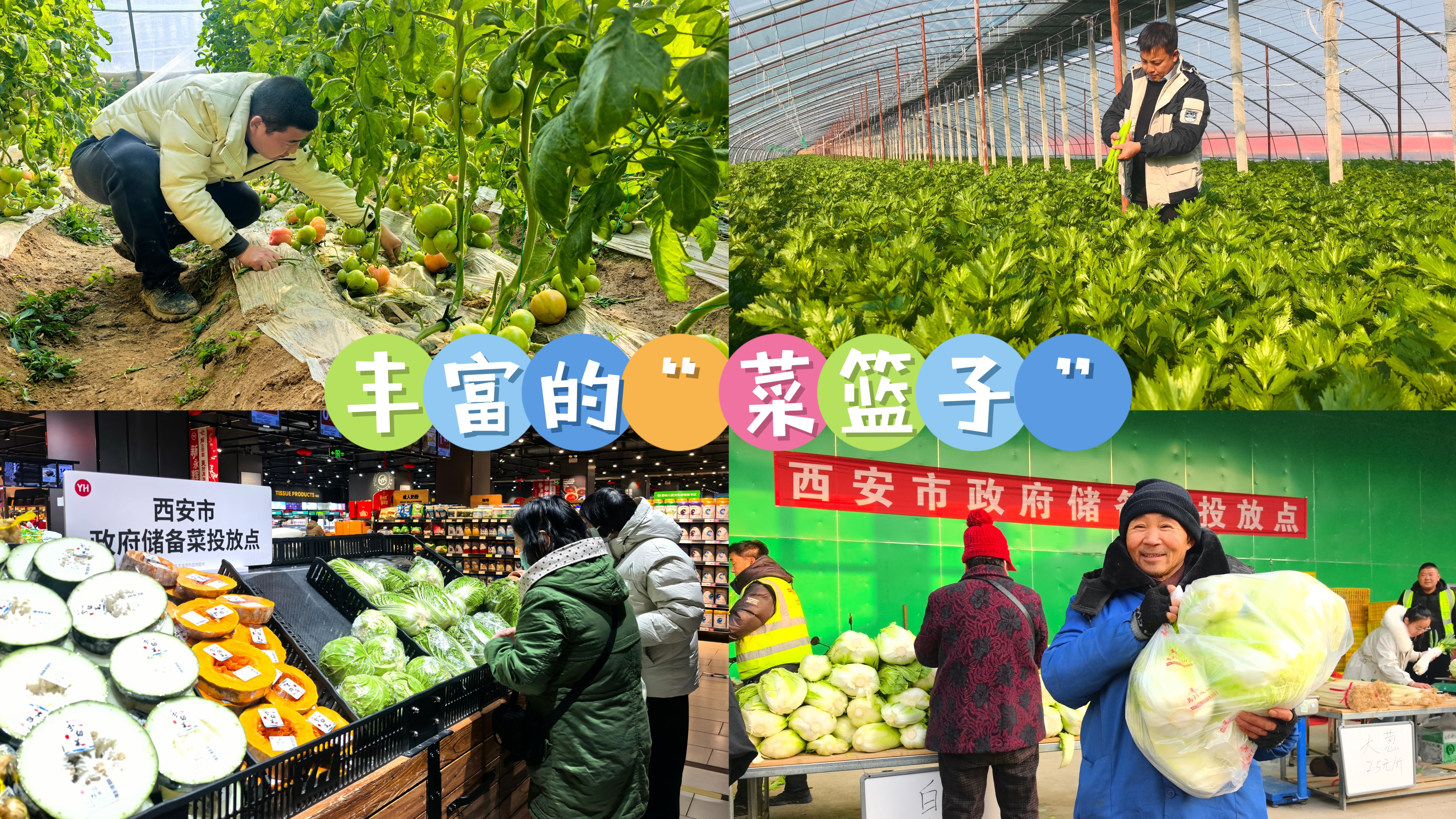 豐富的“菜籃子”