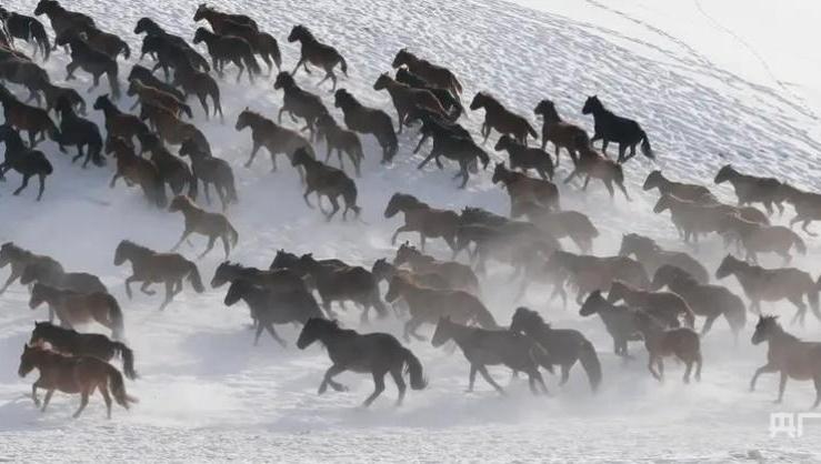 高質量發展“新”速度丨新疆“體育 +”點燃消費“熱引擎”