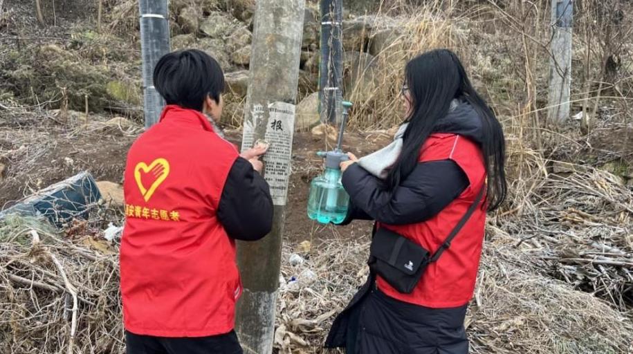 志愿點亮藍田，共建美麗家園