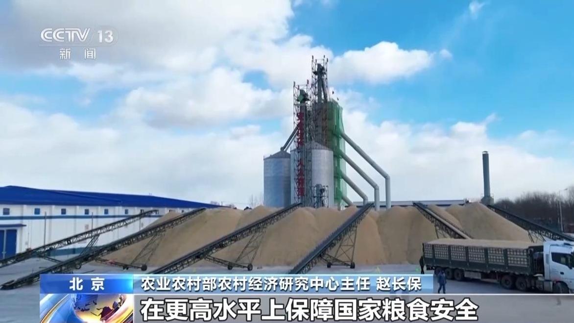 視頻丨首提“常態(tài)化精準(zhǔn)幫扶” 專家解讀2026年中央一號(hào)文件