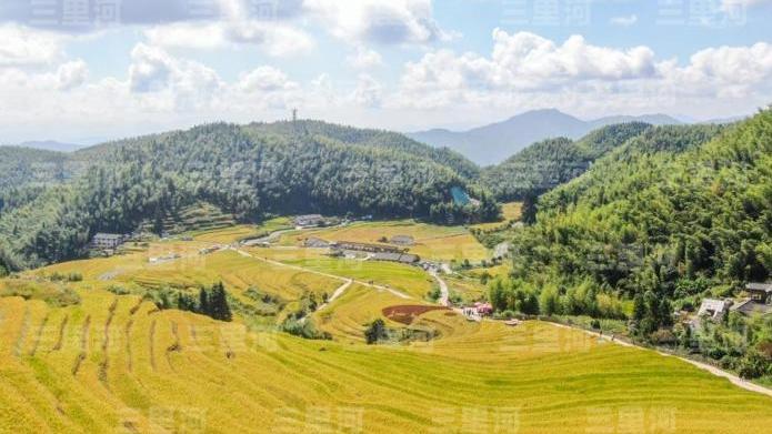 錨定農(nóng)業(yè)農(nóng)村現(xiàn)代化 中央一號文件精準落子