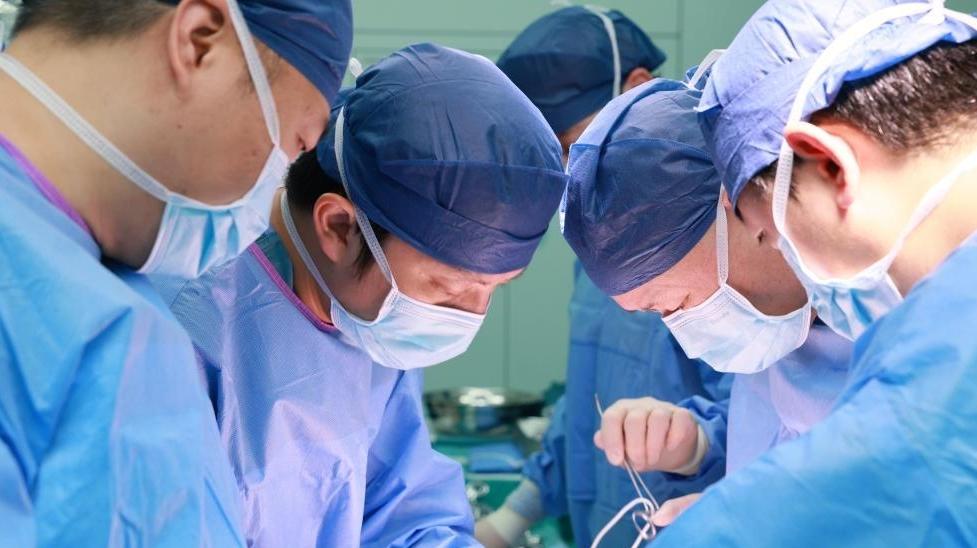 國際首例基因編輯豬肝臟體外灌注治療肝衰竭患者獲成功