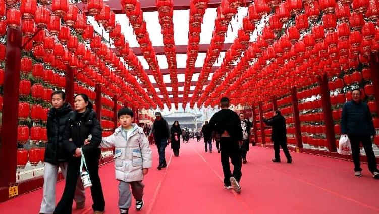 年味渐浓 公园里灯笼走廊成打卡地